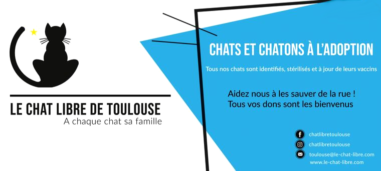 Chat libre Toulouse