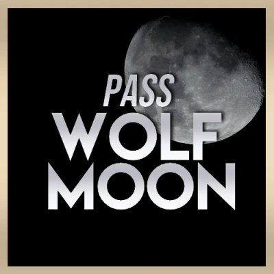Pass wolf moon wolfies in paris
