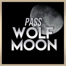 Pass wolf moon wolfies in toulouse