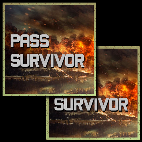 Pass x2 survivor gip